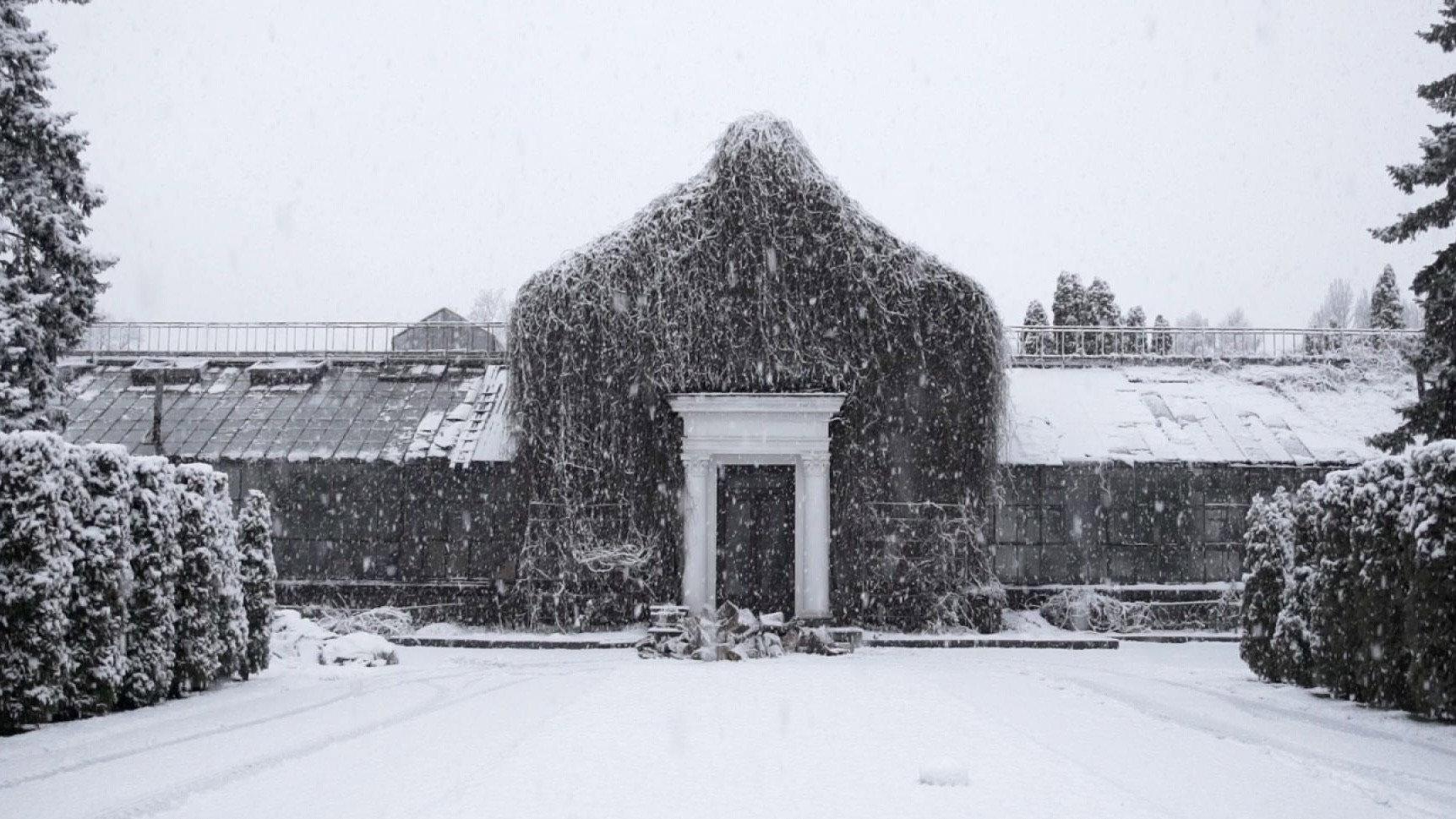 The Winter Garden’s Tale