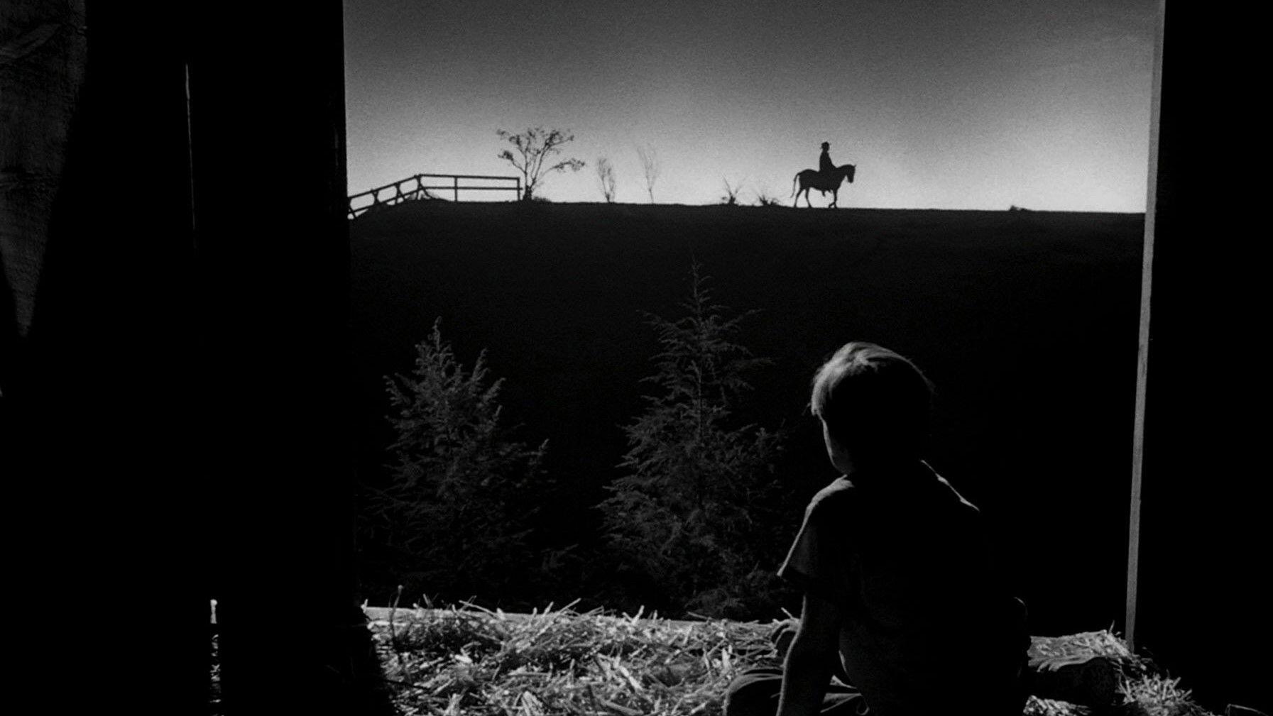 The Night of the Hunter