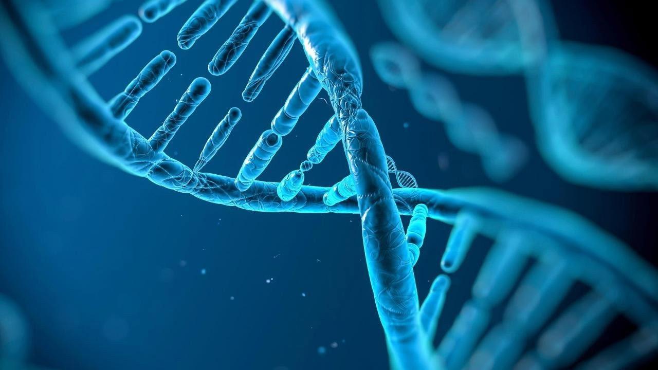 Naked Science: Evolution
