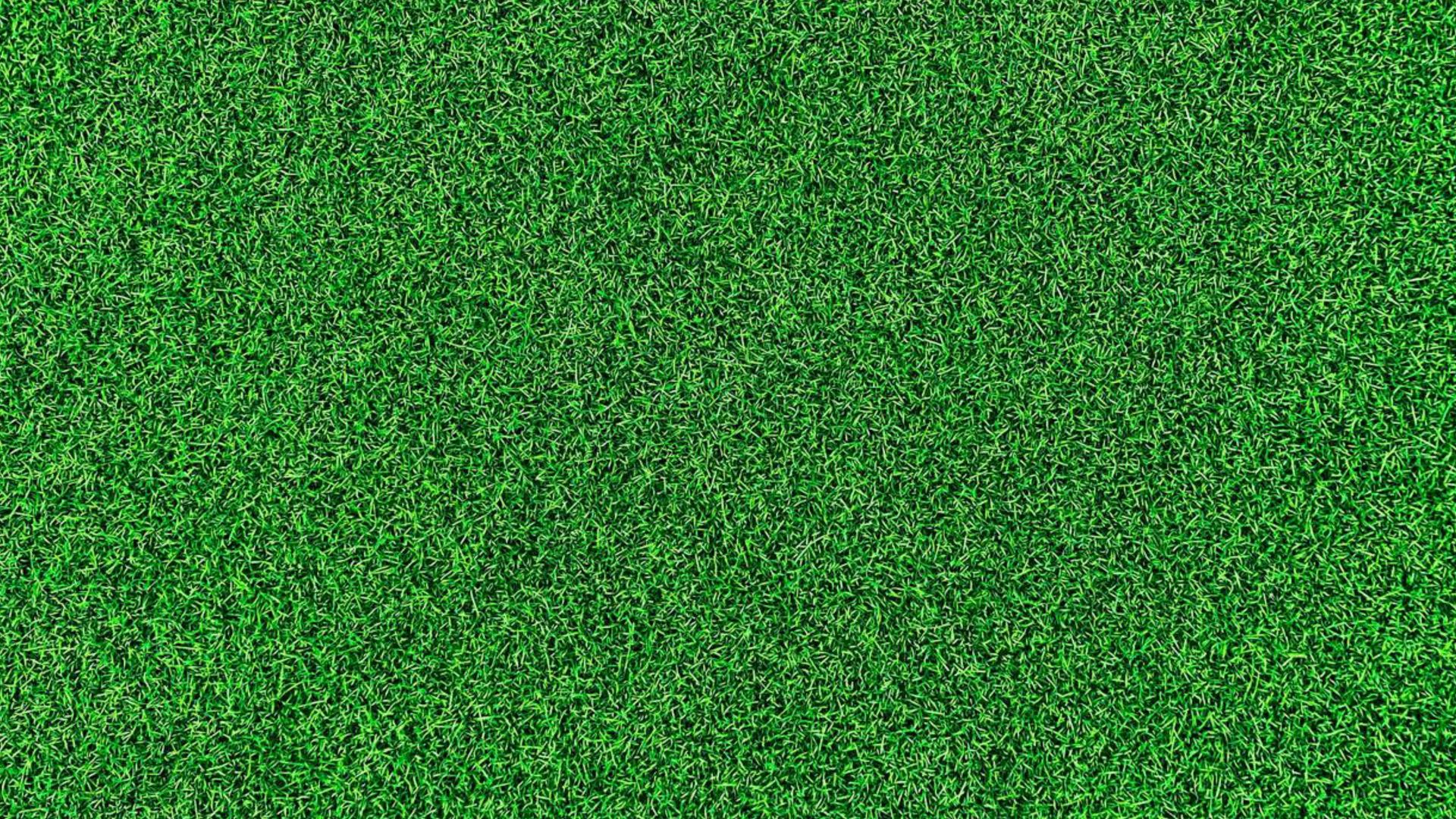 Life on the Green