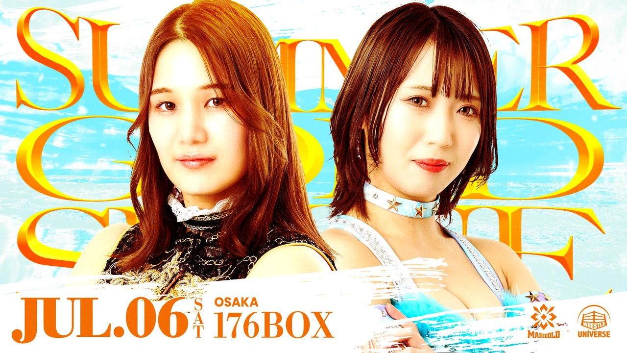 Marigold Summer Gold Shine 2024 ~ Day 1