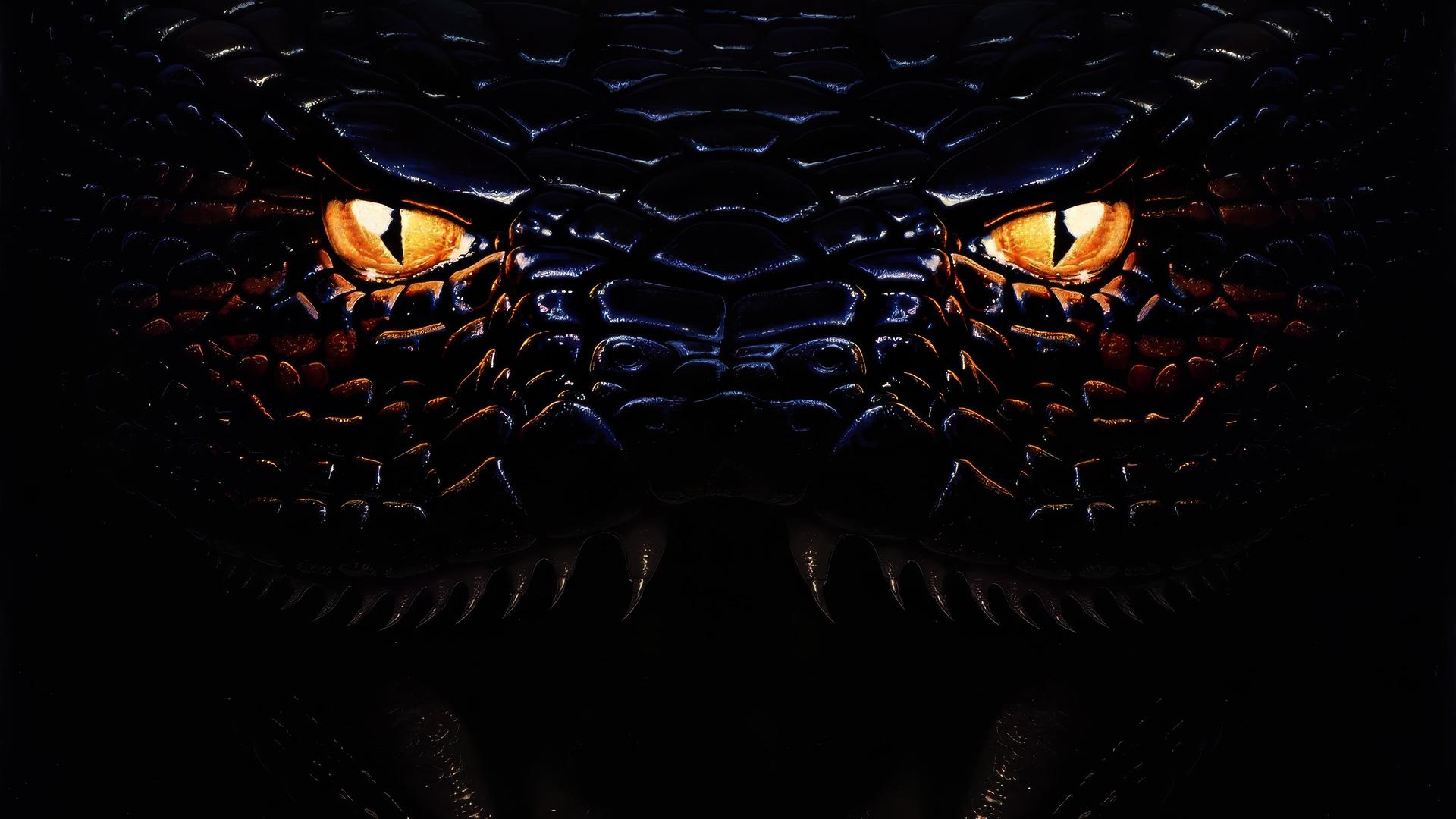 Anaconda