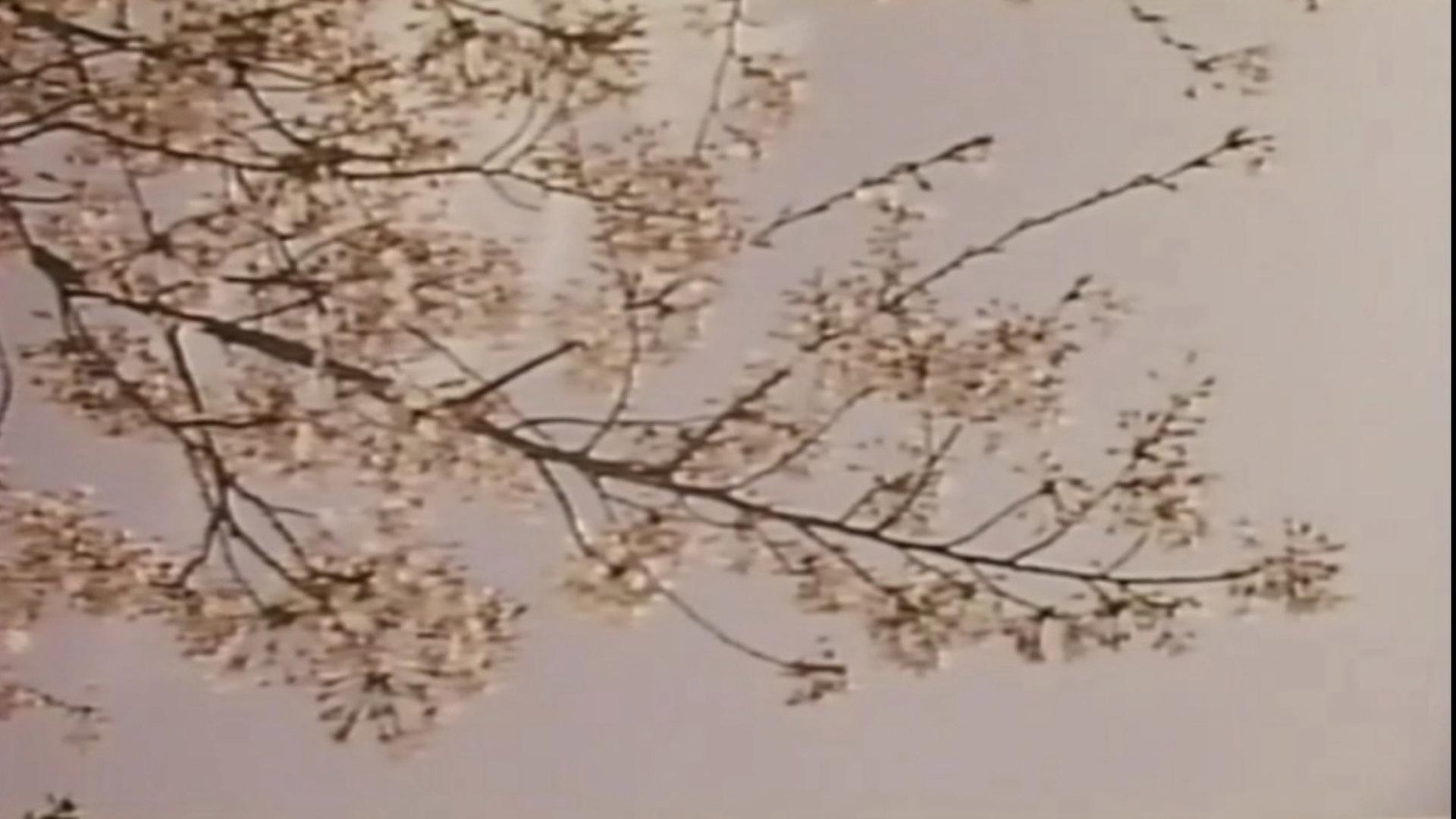 Wakaoku-sama: Futomono-biraki