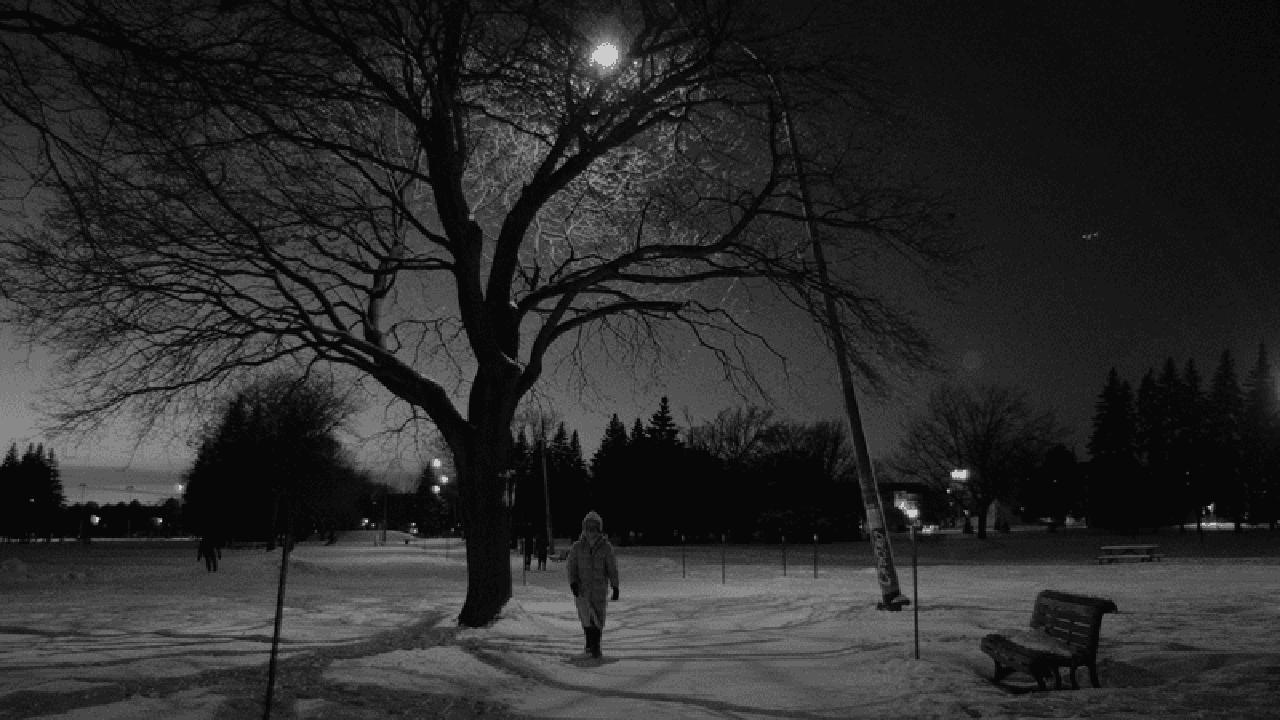 Snowflakes at the End of the World