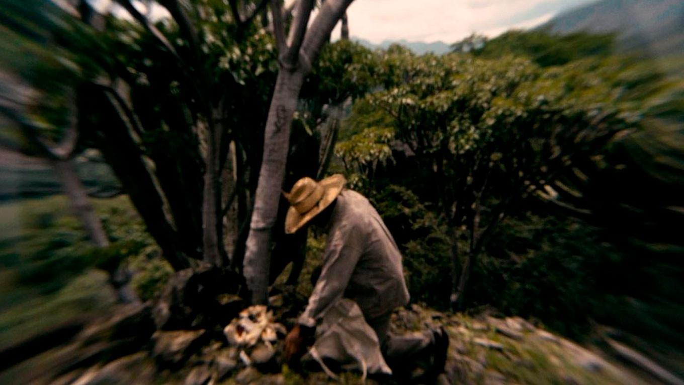 Ñuhu: Sacred Beings