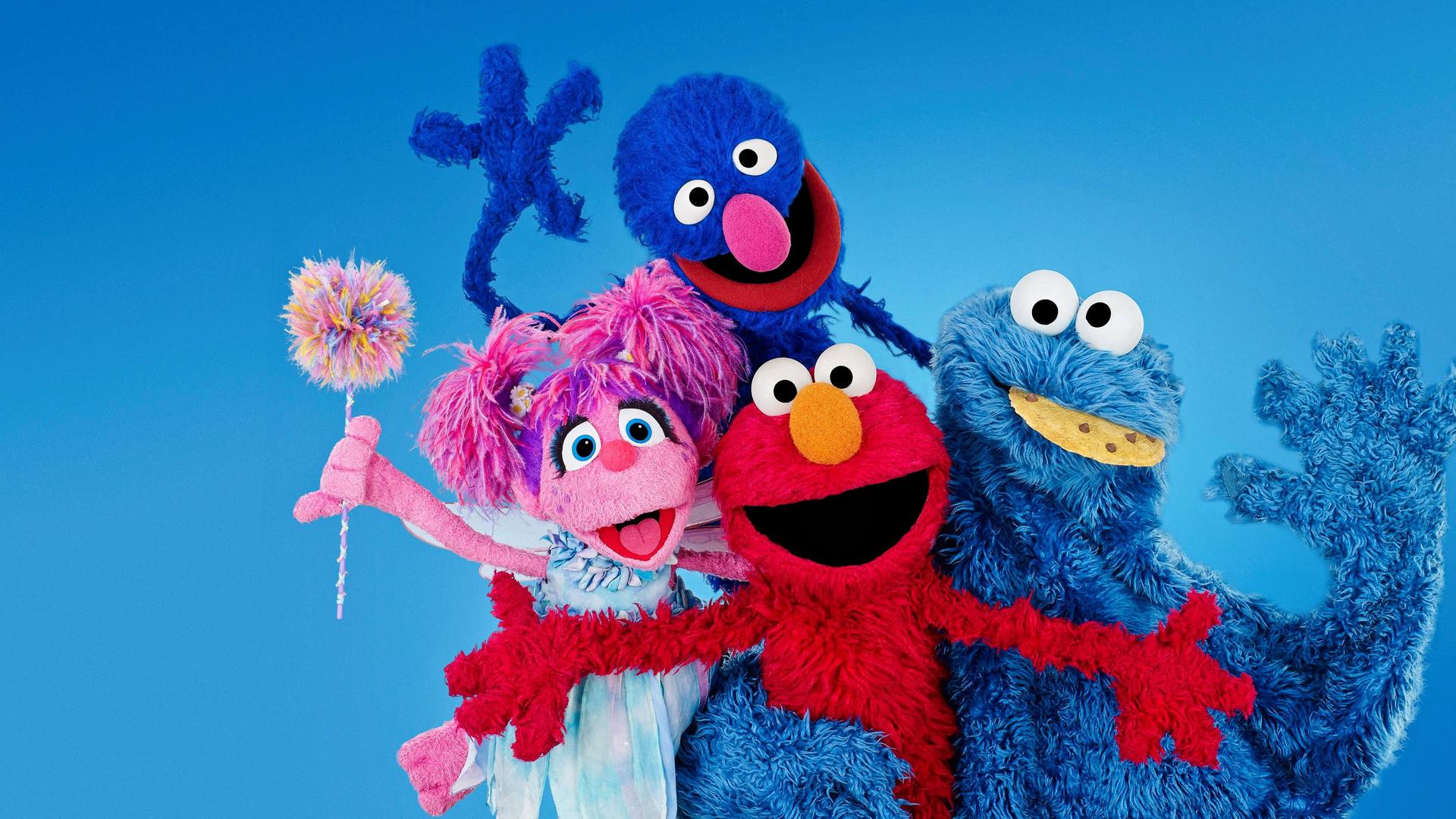 My Sesame Street Friends