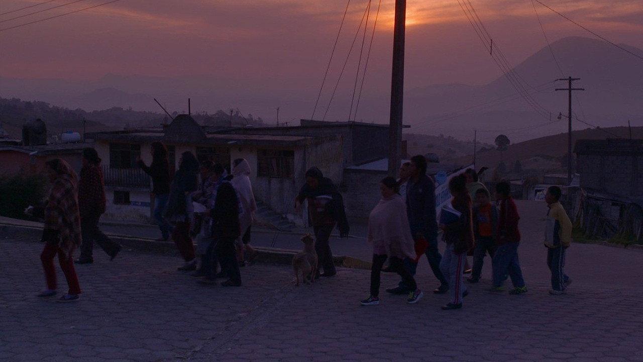 VII Domitilas