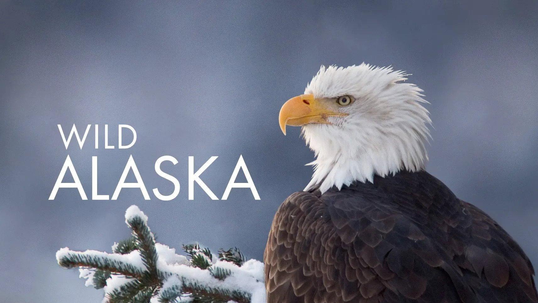 Alaska: Earth's Frozen Kingdom
