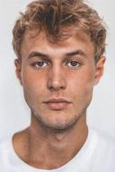 Ludwig Simon