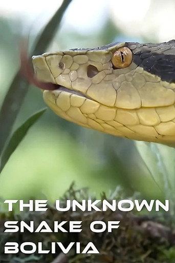 The Unknown Snake of Bolivia