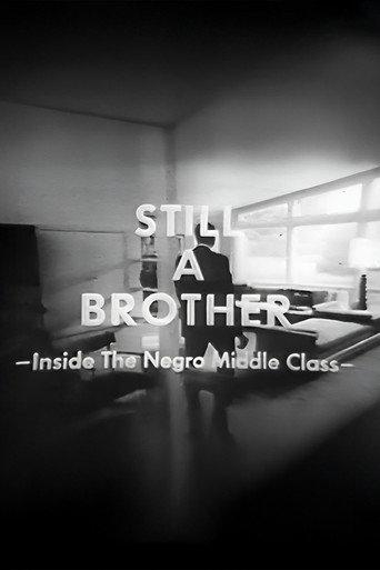 Still A Brother: Inside the Negro Middle Class