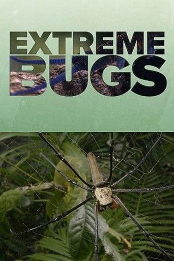 Extreme Bugs