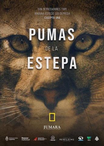 Pumas de la estepa